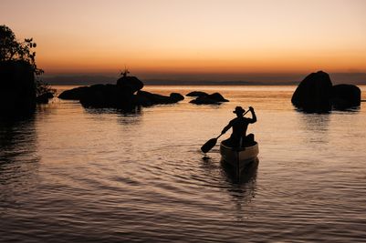 shutterstock_2491212177.jpg