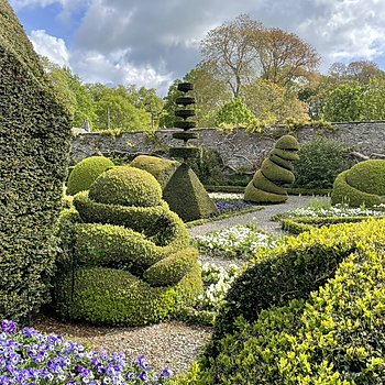 One part of the world's oldest topiary garden at Levens Hall and Gardens, Cumbria