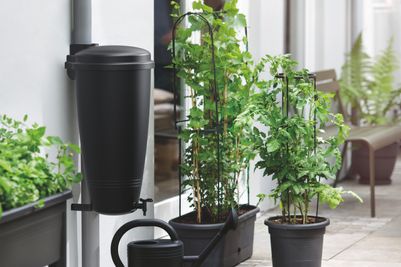 green basics rain catcher 35ltr living black