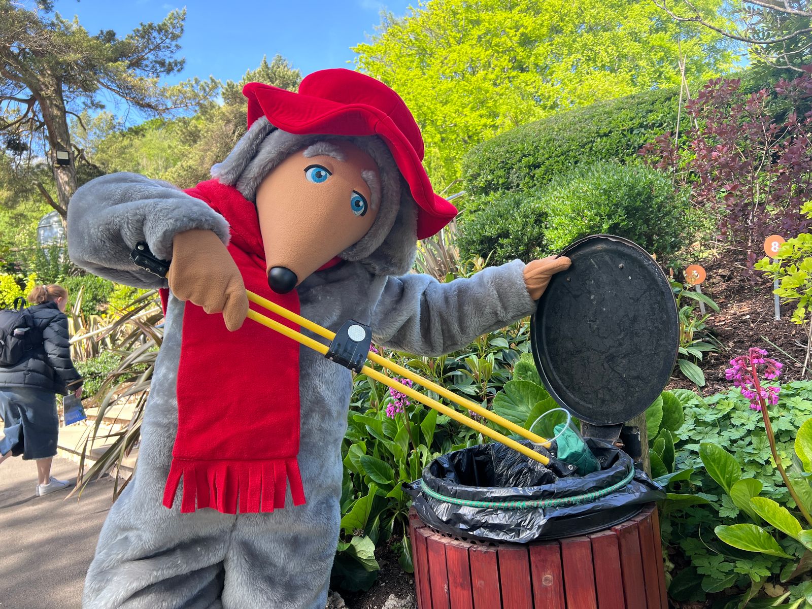 Orinoco doing what Wombles do best at the Heights.jpeg