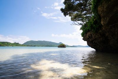 Credit Yuri Tamburrini - Ishigaki - iomote-Ishigaki National Park, Japan. Photo by Coral-foundation Iriomote inc..jpg