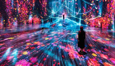 1_Universe of Water Particles on a Rock where People Gather_01_Azabudai- ┬⌐ teamLab.jpg