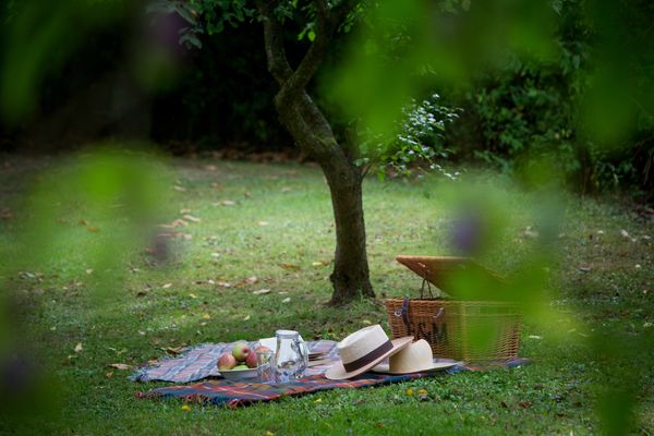Picnic On The Estate.jpg