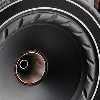 F1-5-Driver-Detail.jpg