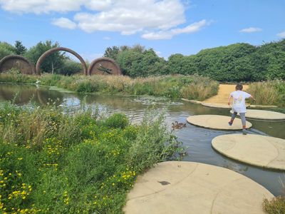 WWT Slimbridge.jpg