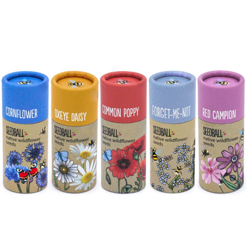 Set of 5 Wildflower Tubes