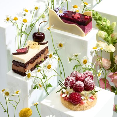 Black Forest Gateau and A Twisted Fruit Tartlet 