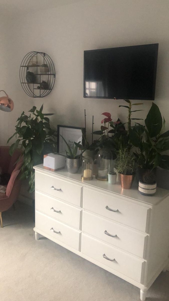 Kim's houseplants.jpg