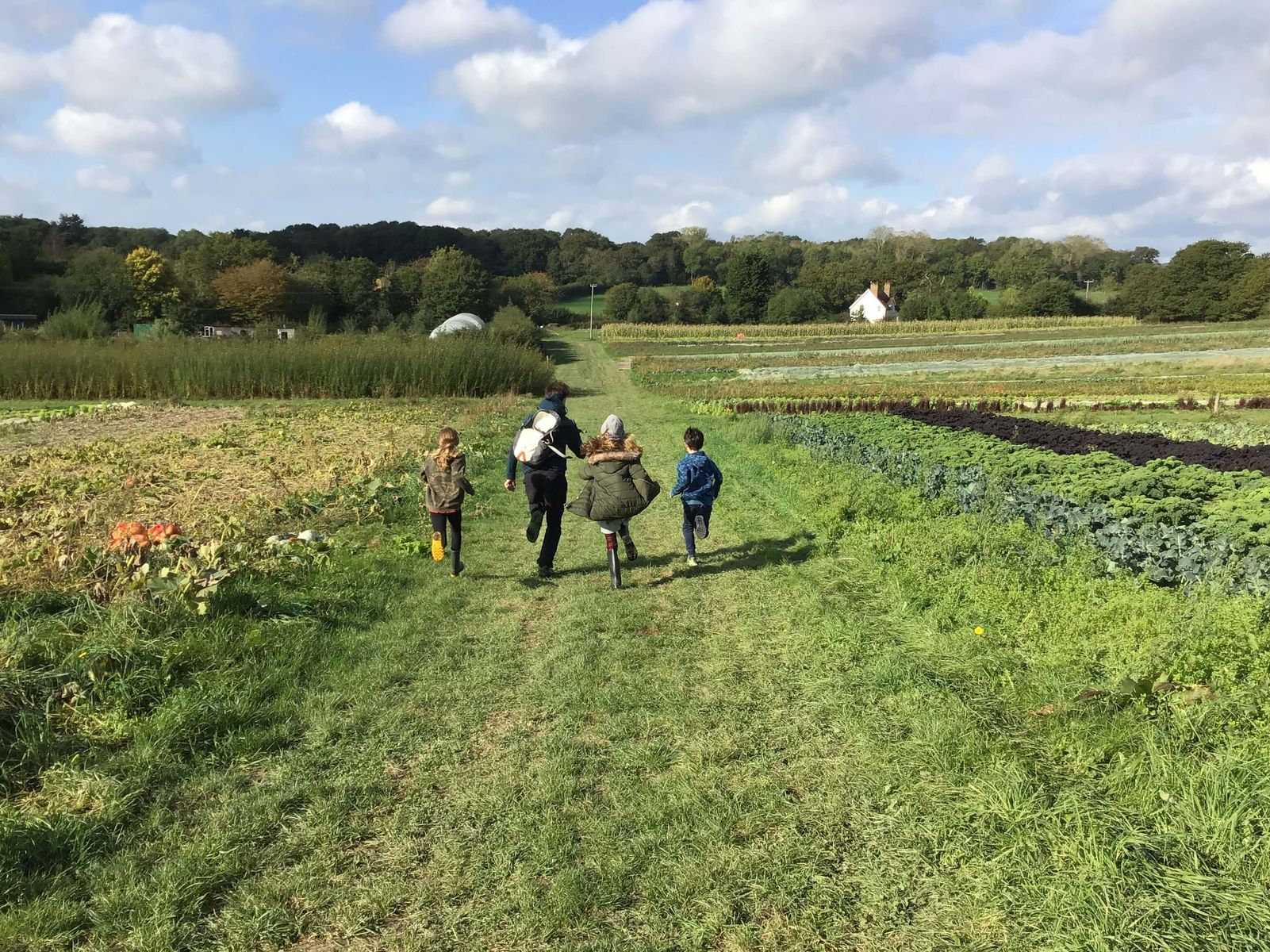 Commonwork Trust - children in Market Garden.jpeg