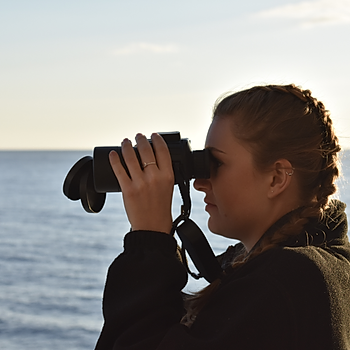 Image 1 New marine eco-courses to boost number of UK-based citizen scientists .jpg