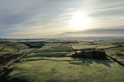 DJI_0209_01_NL.jpg