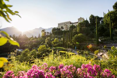 Highlights_Botanical gardens of Trauttmansdorff Castle (3).jpg