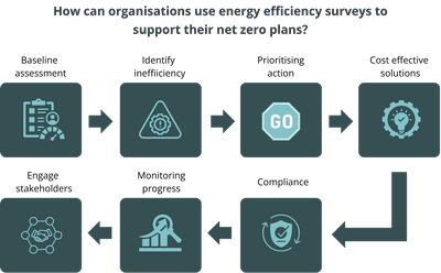 Energy-Audit-Support-Net-Zero
