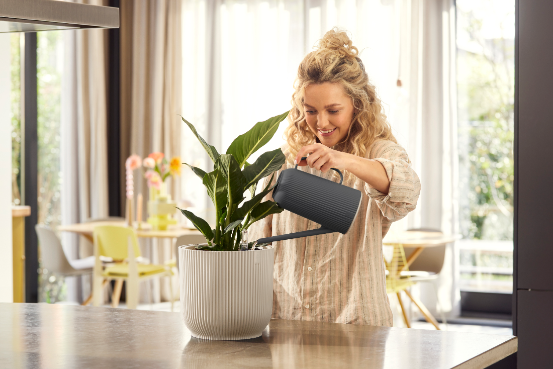 vibes fold watering can 1.7ltr 