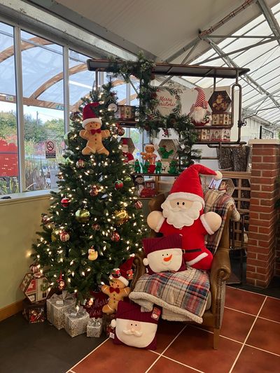 Hillier Garden Centres and Nurseries - Christmas 2024