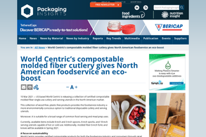 Screencapture of Packaginginsights.com
