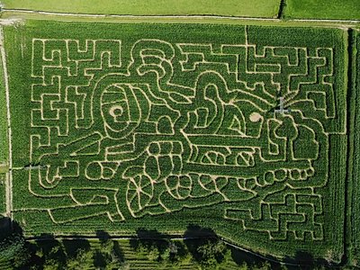2023 maize maze at the Lakeland Maze Farm Park in Sedgwick near Kendal, Cumbria, showing a steam train cut into the tall maize crop.