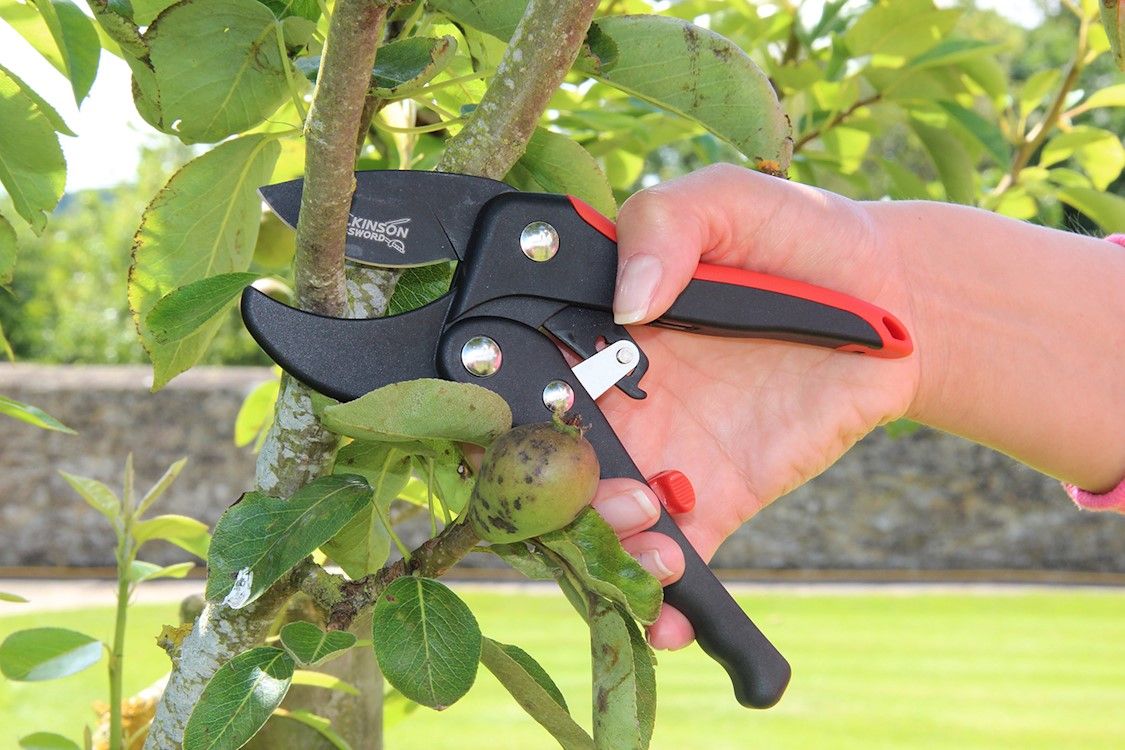 Rachet Anvil Pruners.jpg