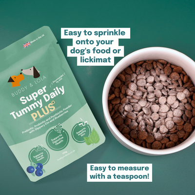 Buddy & Lola, Super Tummy Daily Plus, Pre, Pro & Postbiotics for dogs - £34.95