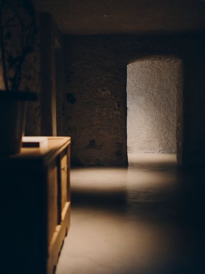FORESTIS-Villa-Basement.jpg