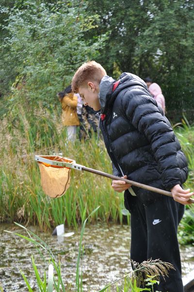 (Pic 4) Pond dipping and the identification of freshwater species is still a key skill which learners are taught when they visit Field Studies Council sites. .jpg