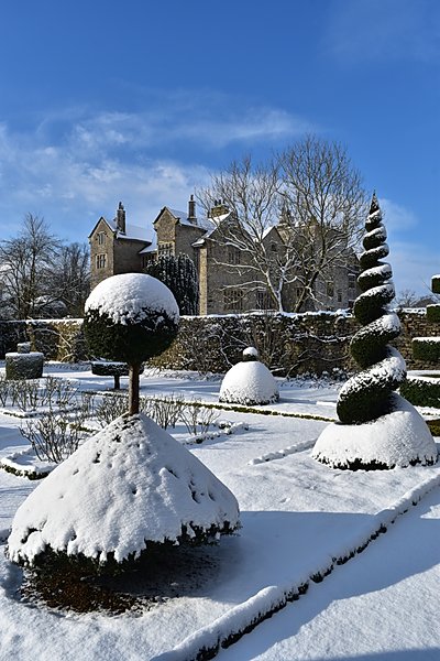 Topiary at Levens Hall, Cumbria, UK