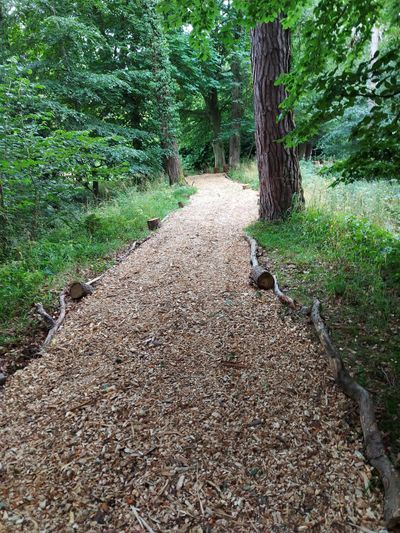 Woodland path at Langley Castle Hotel, Northumberland
