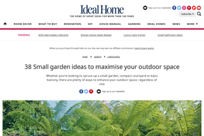 Screencapture of Ideal Home