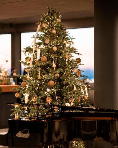 Florian_Andergassen_web_Christmas_1.jpg