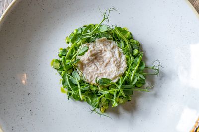 Crab Starter.jpg