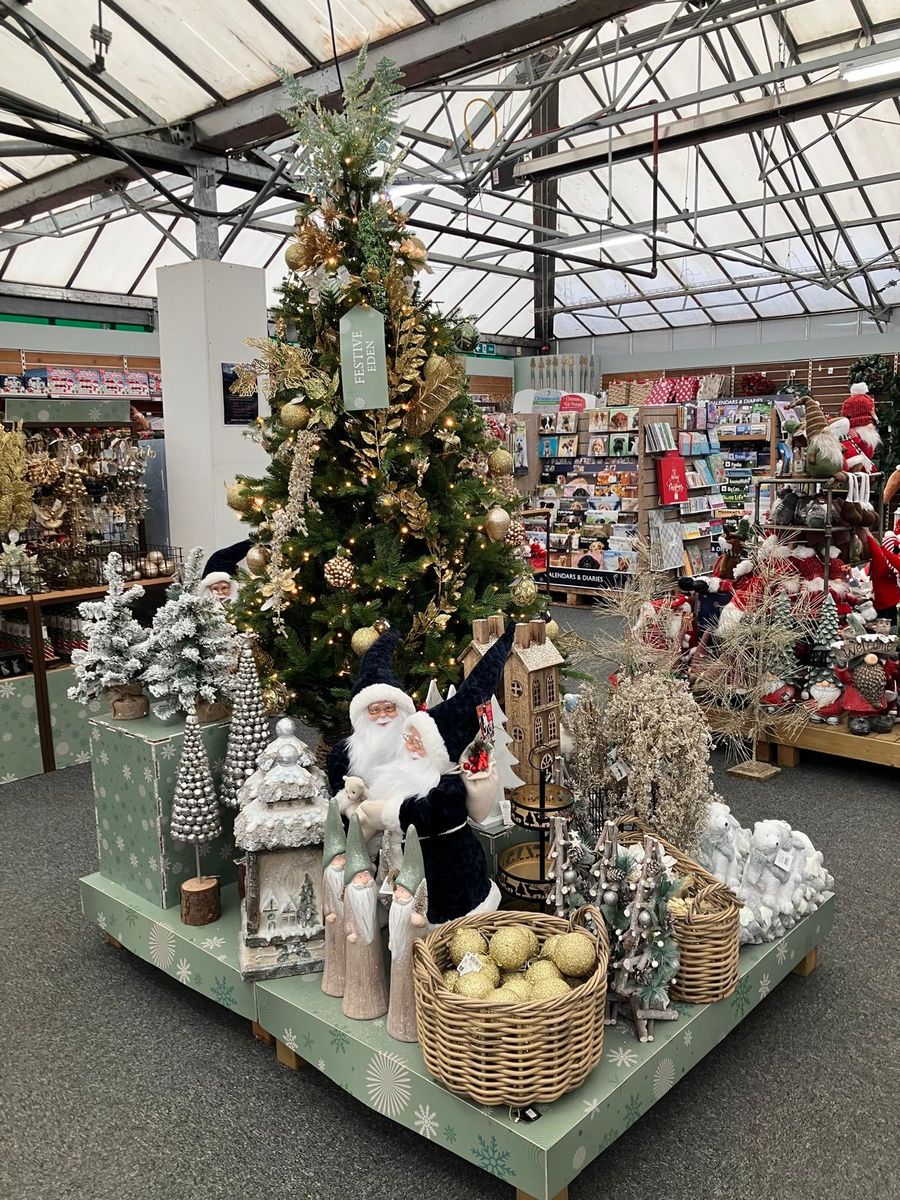 Hillier Garden Centres and Nurseries - Christmas 2024