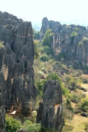 Stone Forest (10).jpg