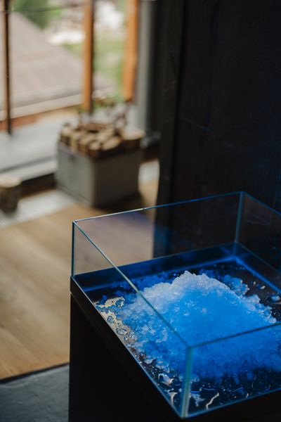 HdL_SPA detail (1).jpg