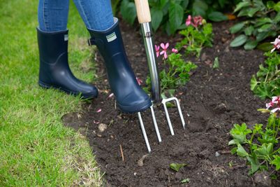 Stainless Steel Digging Fork