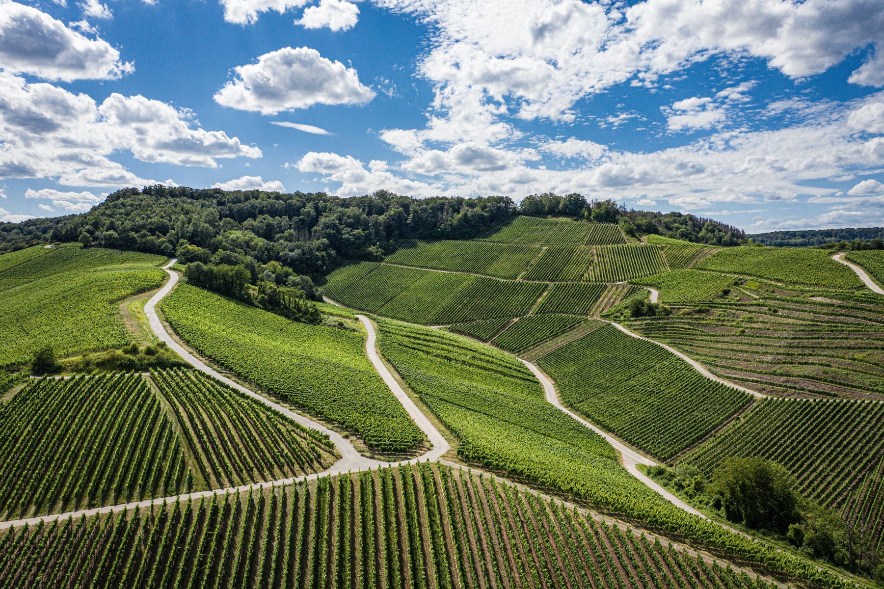 Schwebsingen-Remich-1-© Tom Jutzler-LFT.jpg