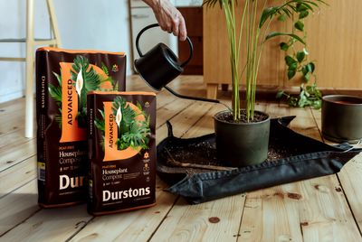 Houseplant_POS_Lifestyle-Image_2.jpg