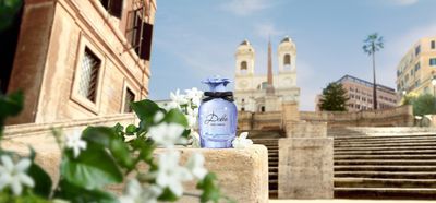 Dolce Blue Jasmine