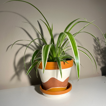 A planter of the type that can be decorated in the Levens Hall and Gardens Summer 2025 workshop.