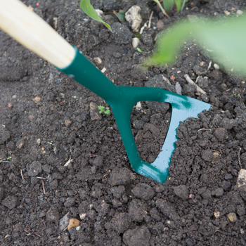 Carbon Steel Dutch Hoe