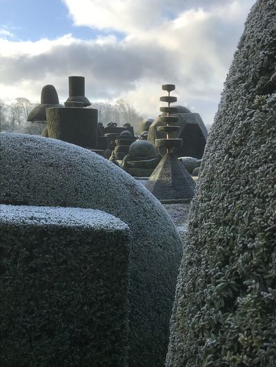 The world's oldest topiary garden, at Levens Hall and Gardens, Cumbria, UK.