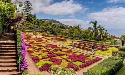 madeira.jpg