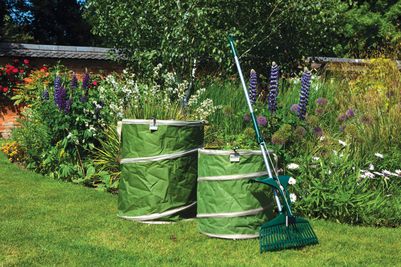 Town & Country Garden Tidy Bag & Grab Rake