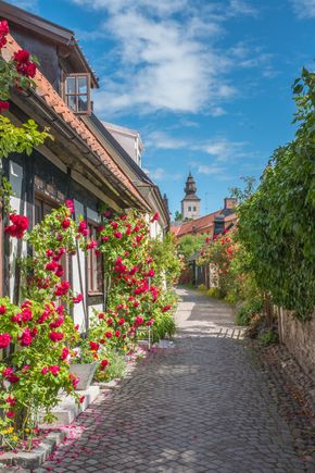 Visby SS_453600250.jpg