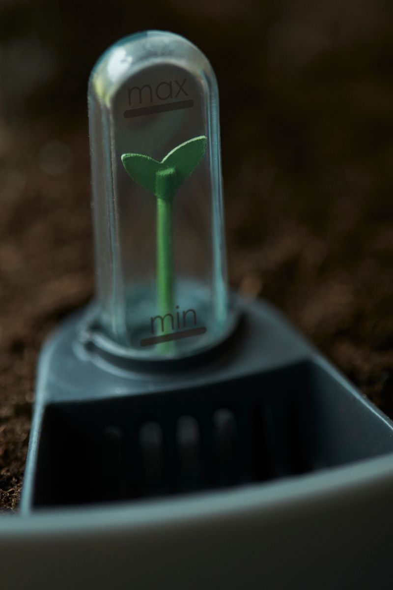 self-watering insert
