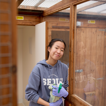 Moulton College student Anna is on work experience at Cloverlea Cattery