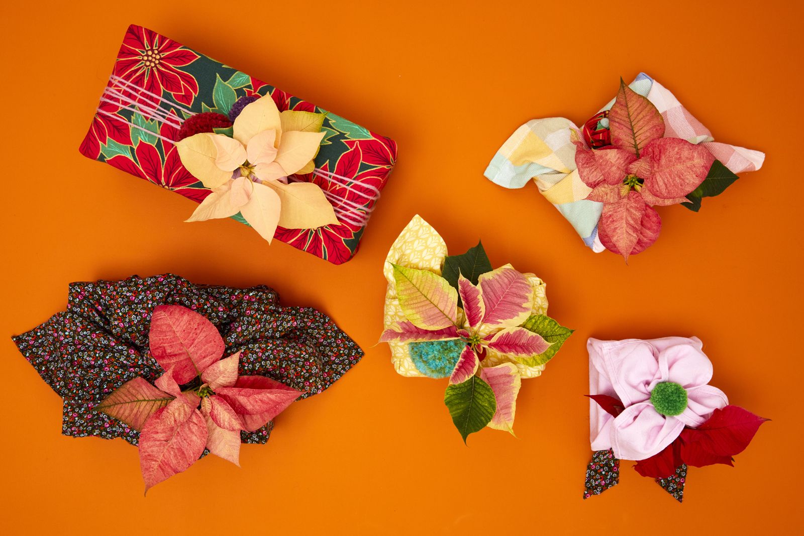 2022_poinsettia_05130_DIY_Reusable_Japanese_Gift_Wrap_07.jpg