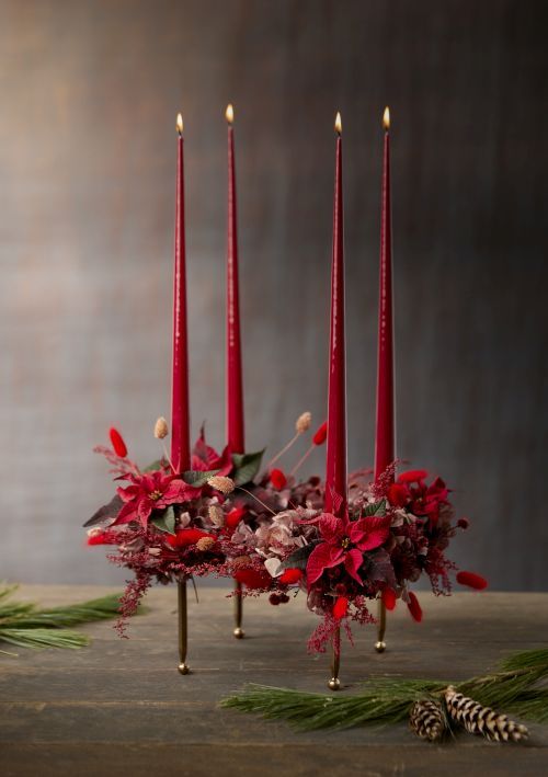 2023_poinsettia_01000_Jewels_of_Nature_12 (1).jpg