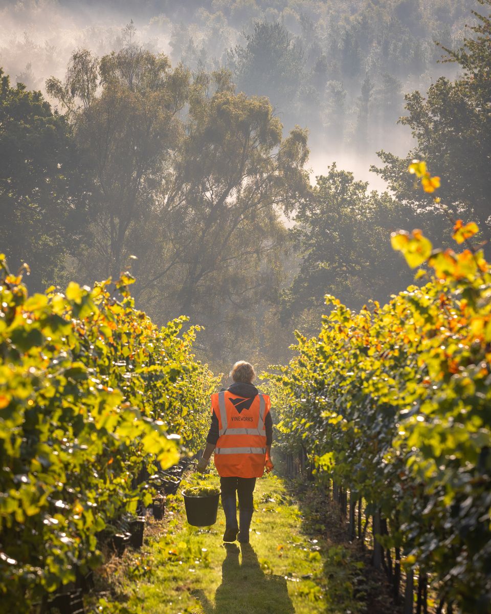 Mannings Harvest - Credit James Ratchford Photography-composite-2.jpg