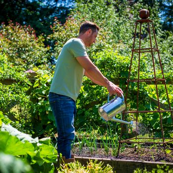 Gardener watering crops