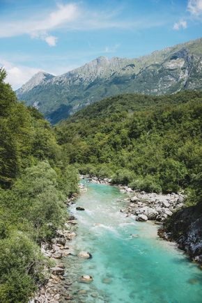 175216-F014017-zelena_slovenija_ciril_jazbec_l1002860-photo-m.jpg